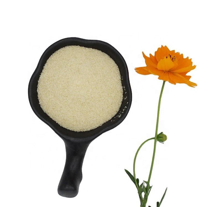 Food Grade Bovine Gelatin 250 Bloom Beef Skin Edible Gelatin in Food Industry